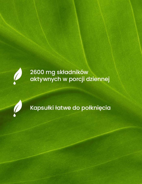 Kolagen Rybi Forte 2200 mg i Glukozamina