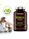 Boswellia Serrata w 90 kapsułkach | Essensey | Kości stawy