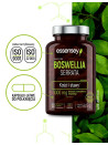 Boswellia Serrata w 90 kapsułkach | Essensey | Kości stawy
