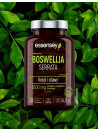 Boswellia Serrata w 90 kapsułkach | Essensey | Kości stawy