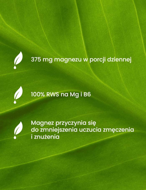 Zestaw Magnezu z witaminą B6 w trzech opakowaniach