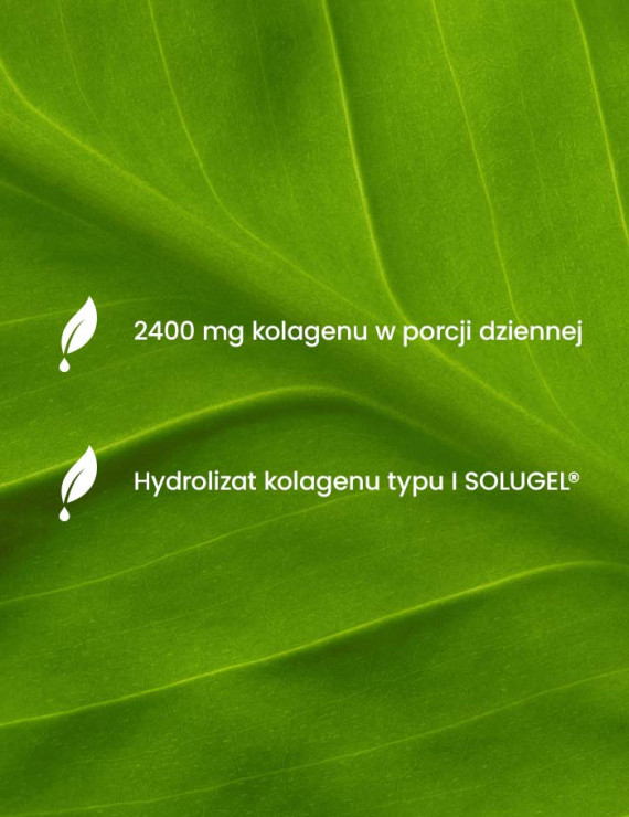Kolagen + Kwas Hialuronowy + MSM