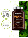 Berberyna + Kurkumina + Pillbox | Essensey | Trawienie