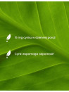 Cynk Organiczny + Pillbox | Essensey | Skóra Odporność