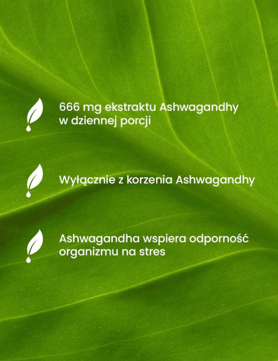 Zestaw Ashwagandha Forte w trzech opakowaniach + Pillbox