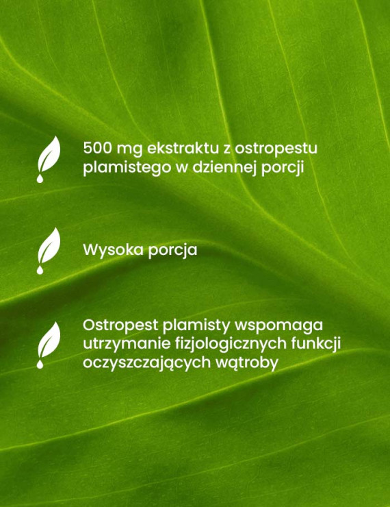 Zestaw Berberyna + Kurkumina i Ostropest Plamisty + Pillbox