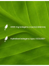 Kolagen + Kwas Hialuronowy + MSM + Pillbox | Essensey | Stawy skóra