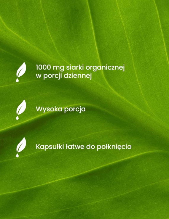 Zestaw Kolagen + Kwas Hialuronowy + MSM + Pillbox