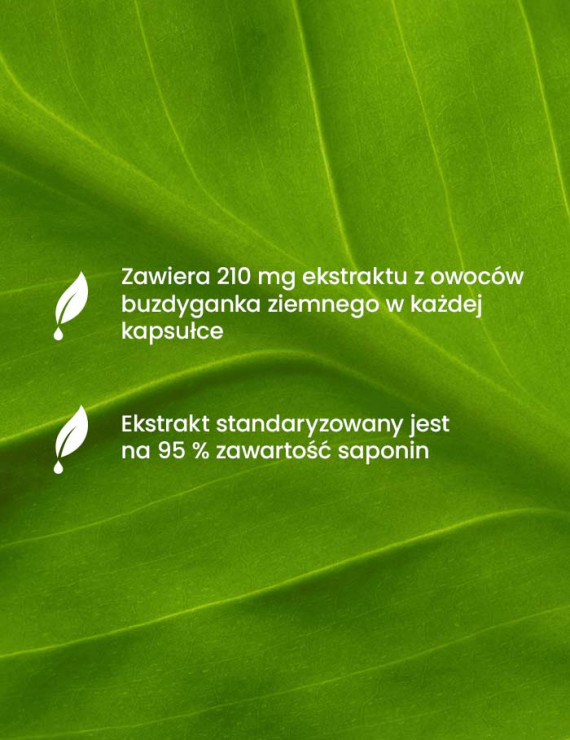 Moc ekstraktów roślinnych