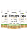 Kolagen Rybi Premium Smak Zielona Herbata  | Essensey | Piękna skóra