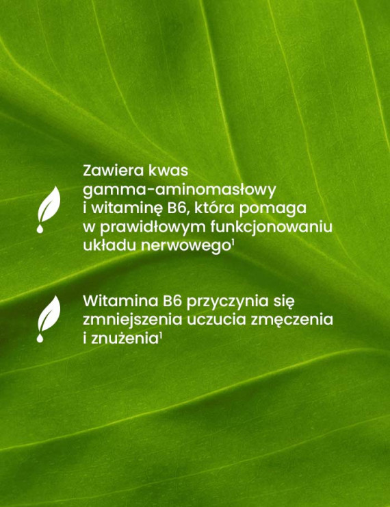 Zestaw Gaba Ekstra Formula w dwóch opakowaniach