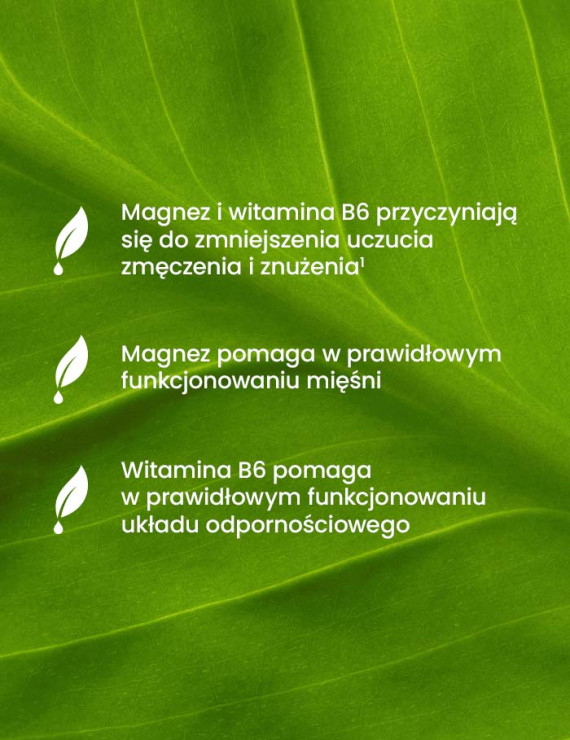 Cytrynian Magnezu Forte w 90 kapsułkach