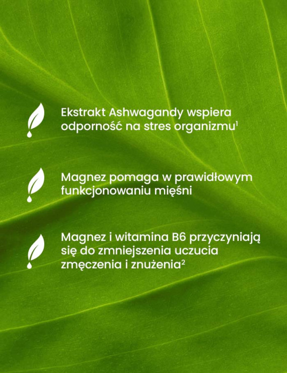 Zestaw Cytrynian Magnezu + Ashwagandha w dwóch opakowaniach