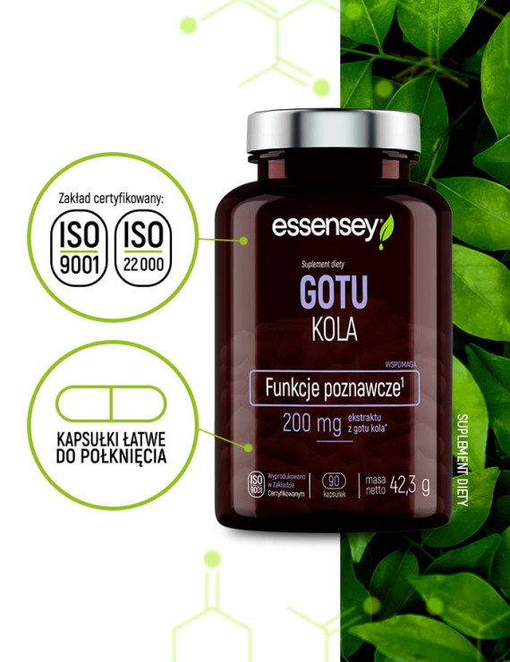 Gotu Kola w 90 kapsułkach