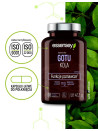 Gotu Kola w 90 kaps | Essensey | Funkcje poznawcze