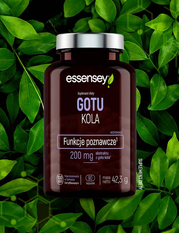 Gotu Kola w 90 kapsułkach
