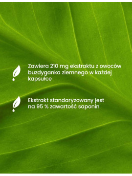 Żeń-szeń + Tribido Max Tribulus | Essensey | Witalność i libido