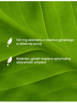 Essensey dla umysłu | Essensey | Koncentracja pamięć aktywność umysłu