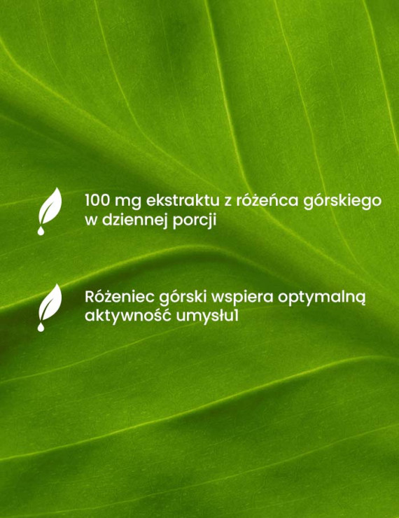 Essensey dla umysłu | Essensey | Koncentracja pamięć aktywność umysłu