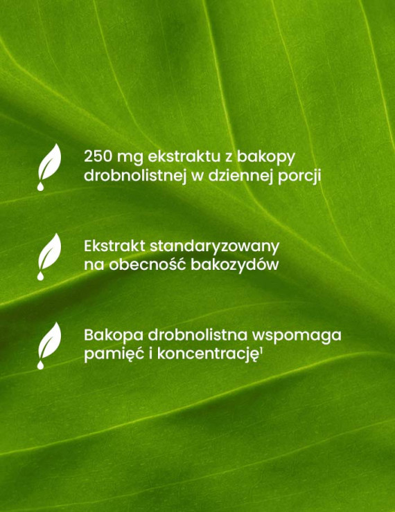 Essensey dla umysłu | Essensey | Koncentracja pamięć aktywność umysłu