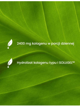 Kolagen Forte + Magnez z B6 | Essensey | Zmęczenie stawy