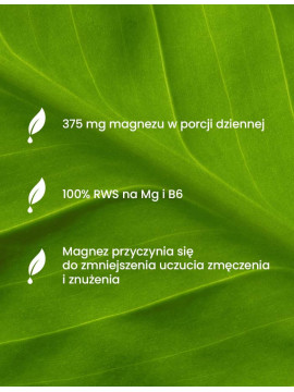 Kolagen Forte + Magnez z B6 | Essensey | Zmęczenie stawy