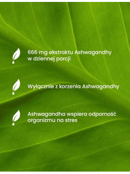 Magnez+B6 i Ashwagandha Forte | Essensey | Stres serce kości