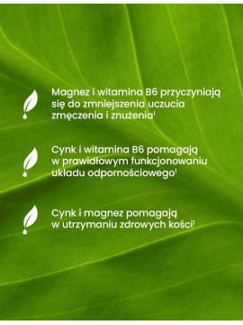 Magnez + Cynk + B6 i Witamina D3