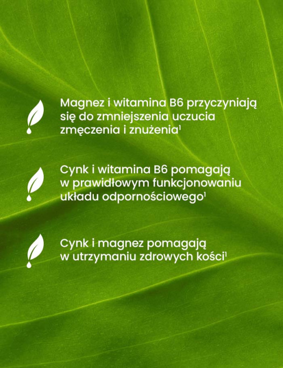 Magnez + Cynk + B6 i Witamina D3