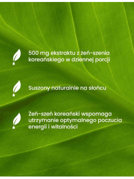 Trzymiesięczna Porcja Adaptogenów | Essensey | Adaptogeny