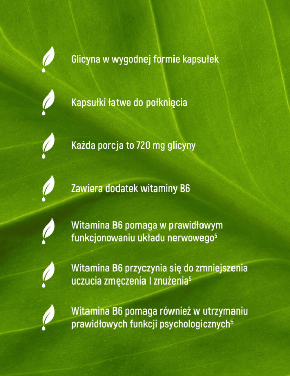 Glicyna + Neuro Control w 90 kapsułkach