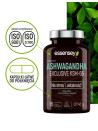 Zestaw Biotyna + Skrzyp, Cynk z Ashwagandhą KSM-66 | Essensy | Stres