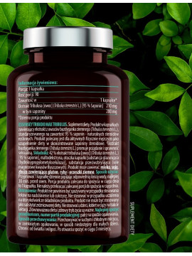 Żeń-szeń Magnez i Tribulus + Pillbox | Essensey | Potencja Witalność