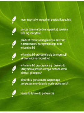 Myo-Inozytol + Metabolism Support w 90 kapsułkach Myo-Inozytol + Metabolism Support w 90 kapsułkach