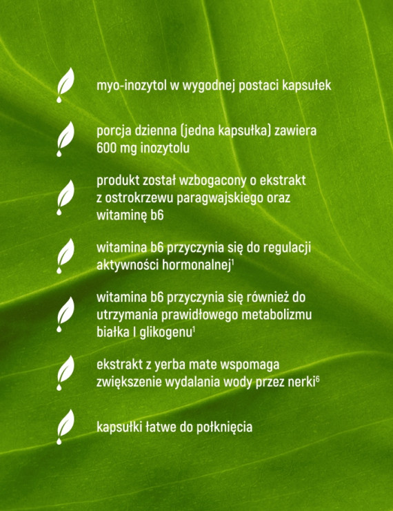 Myo-Inozytol + Metabolism Support w 90 kapsułkach Myo-Inozytol + Metabolism Support w 90 kapsułkach