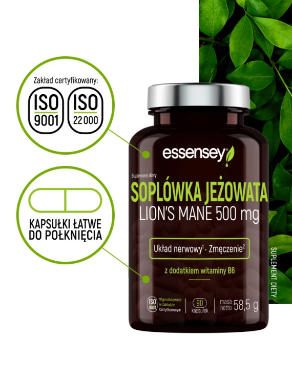 Soplówka Jeżowata w 90 kapsułkach Soplówka Jeżowata w 90 kapsułkach