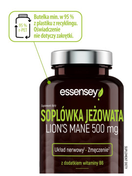 Soplówka Jeżowata w 90 kapsułkach Soplówka Jeżowata w 90 kapsułkach