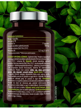 Soplówka Jeżowata w 90 kapsułkach Soplówka Jeżowata w 90 kapsułkach