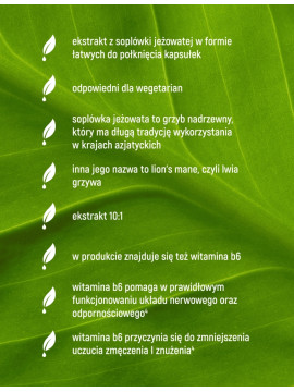 Soplówka Jeżowata w 90 kapsułkach Soplówka Jeżowata w 90 kapsułkach