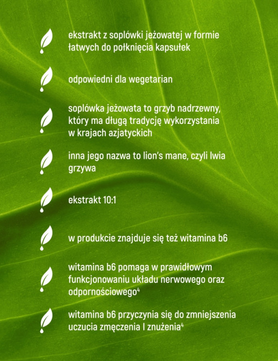 Soplówka Jeżowata w 90 kapsułkach Soplówka Jeżowata w 90 kapsułkach