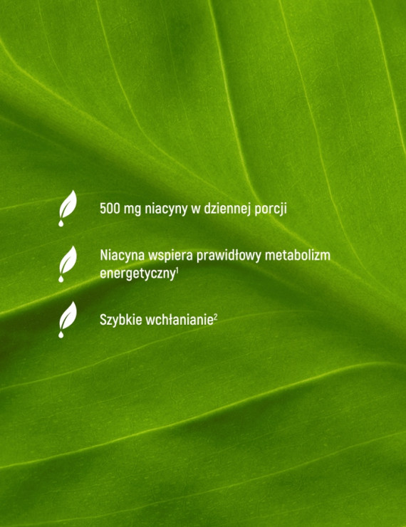 Niacyna Forte w 120 kapsułkach | Essensey | Metabolizm energetyczny