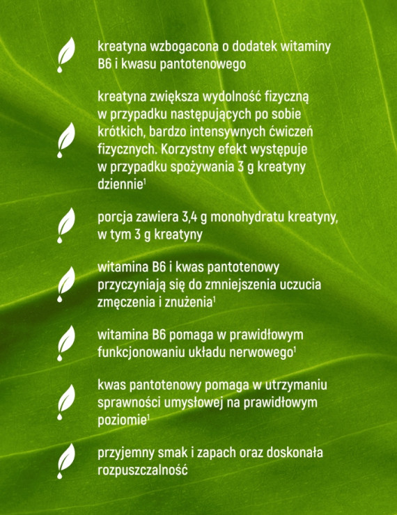 Kreatyna Premium Smak Zielone Jabłko - 500g