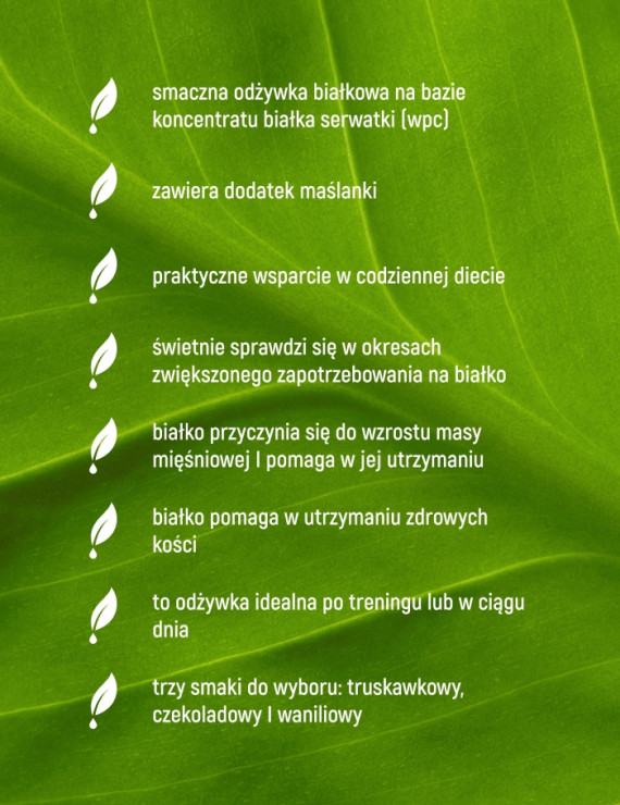 Odżywka Białkowa - Whey Protein Premium Smak Waniliowy - 300 g