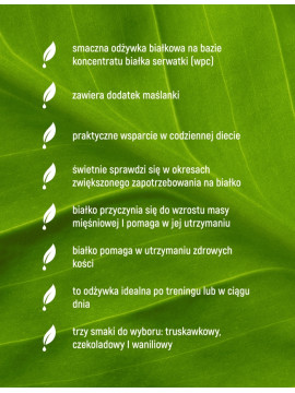 Odżywka Białkowa - Whey Protein Premium Smak Czekoladowy - 300 g