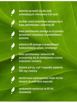 L-Teanina w 90 kapsułkach