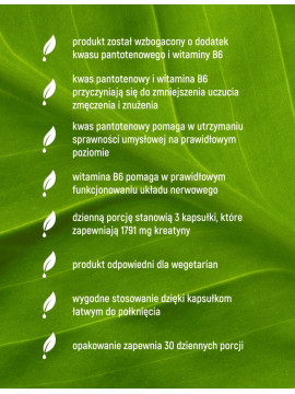 Kreatyna Monohydrat + B5, B6 w 90 kapsułkach