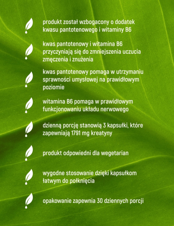 Kreatyna Monohydrat + B5, B6 w 90 kapsułkach