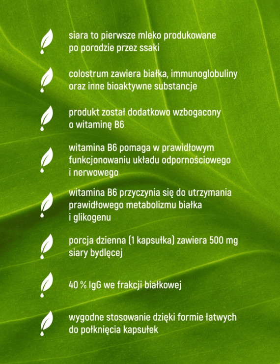 Colostrum Bydlęce w 90 kapsułkach