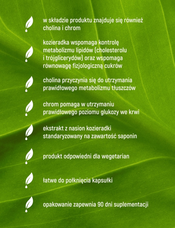 Kozieradka Ekstrakt + w 90 kapsułkach