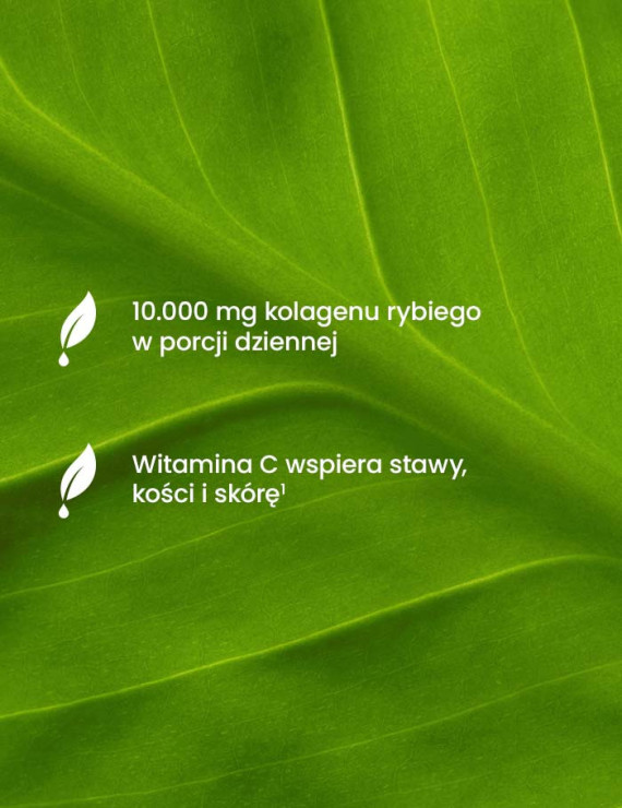 Kolagen Rybi Premium Smak Truskawka z Nutą Wanilii 10000 mg - 321g